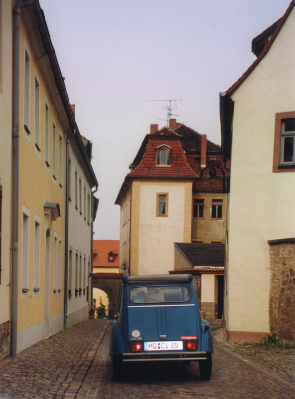 donn5.jpg