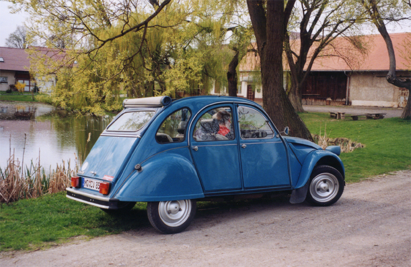 donn93.jpg